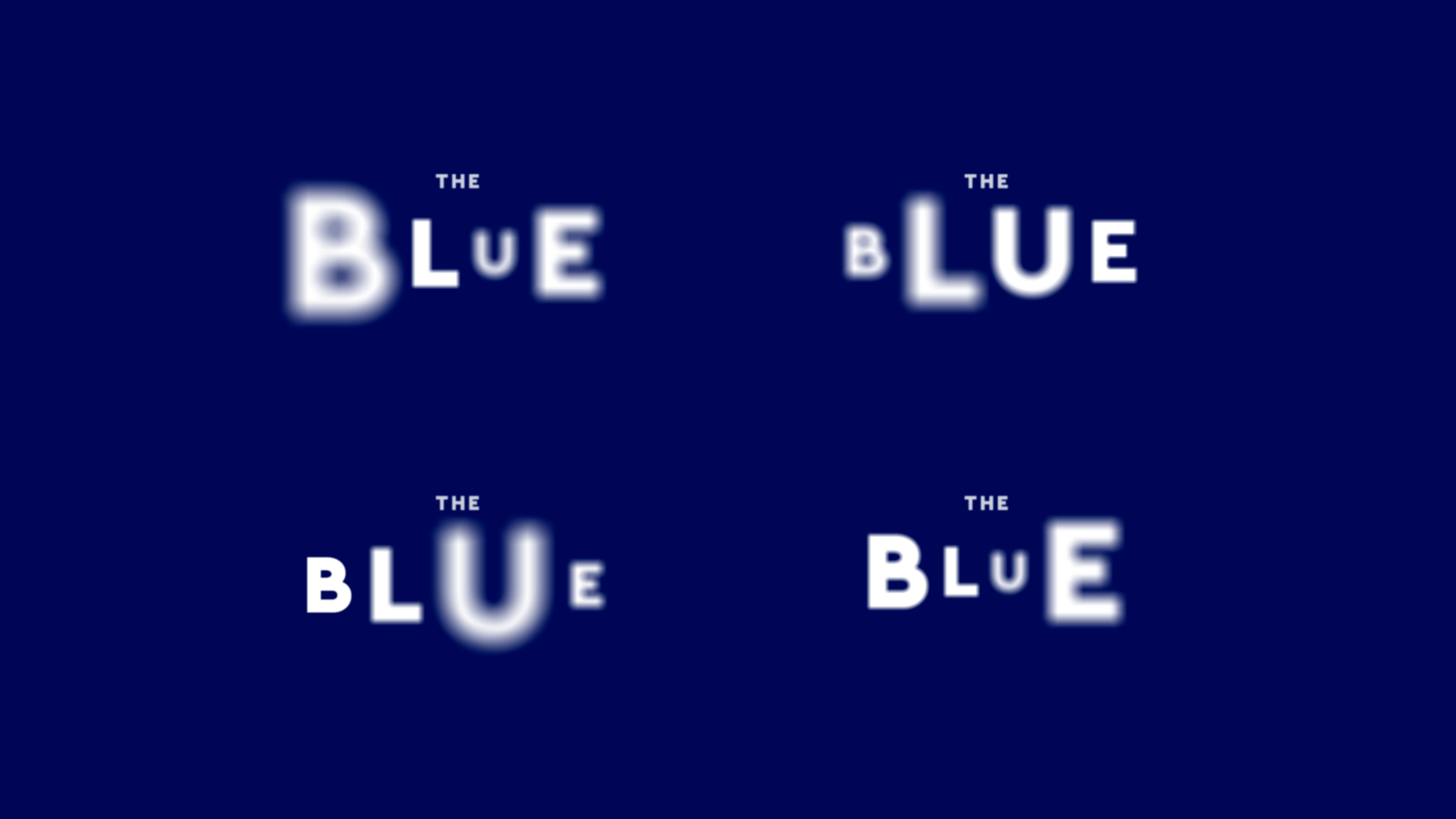 Scottish Seabird Centre marine conservation charity branding The Blue brand visual identity by Monumentum Brands